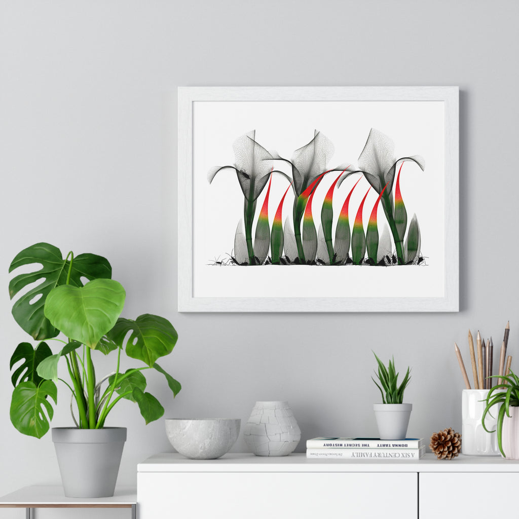 Framed Poster - Abstract Botanical Calla Lily Art with Red & Green Accents
