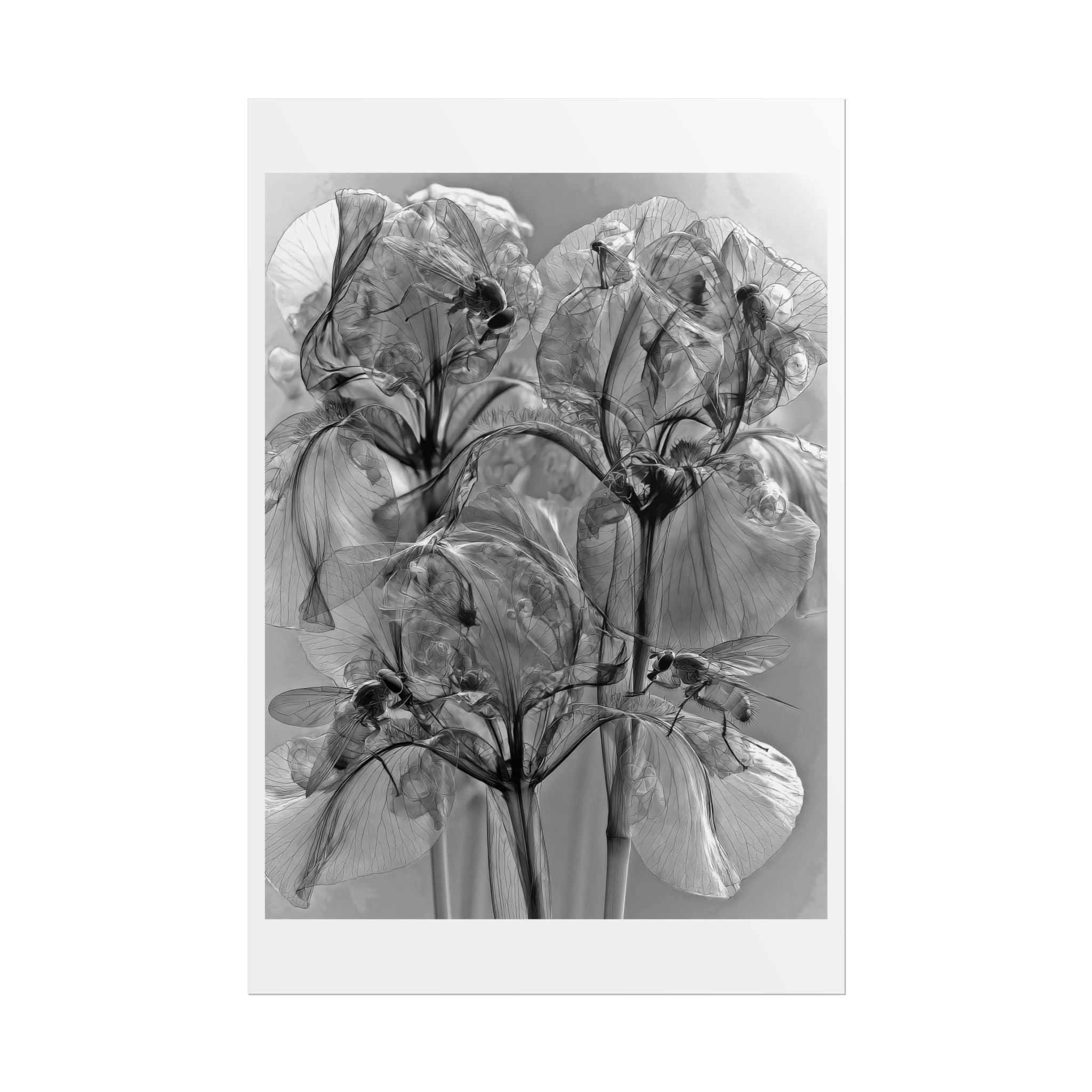 Rolled Poster — Monochrome X-Ray Floral Art Print