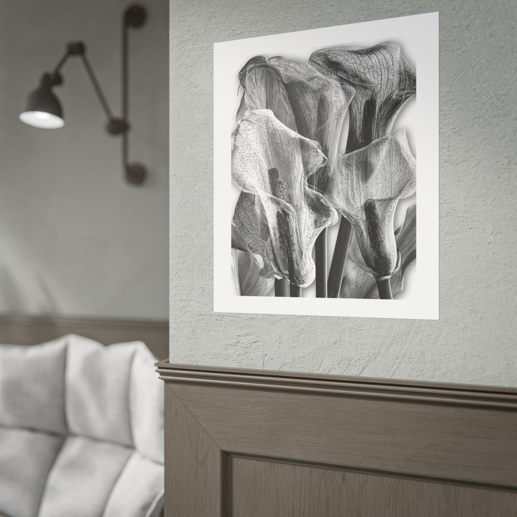 Black & White Calla Lily Poster — Minimal Floral Wall Art, Rolled Art Print for Living Room & Bedroom