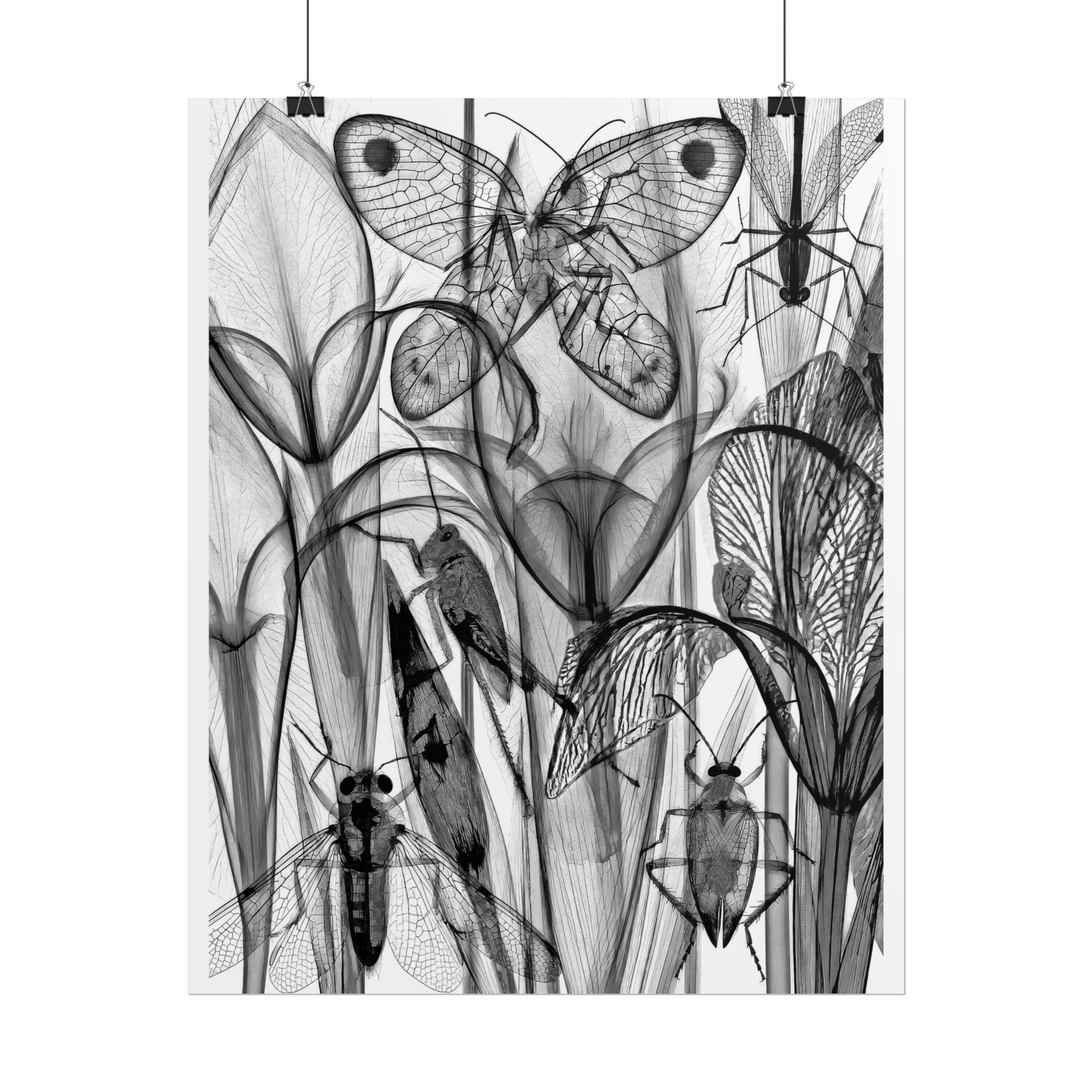 Botanical Insect X‑Ray Rolled Poster — Monochrome Moths & Beetles Art Print