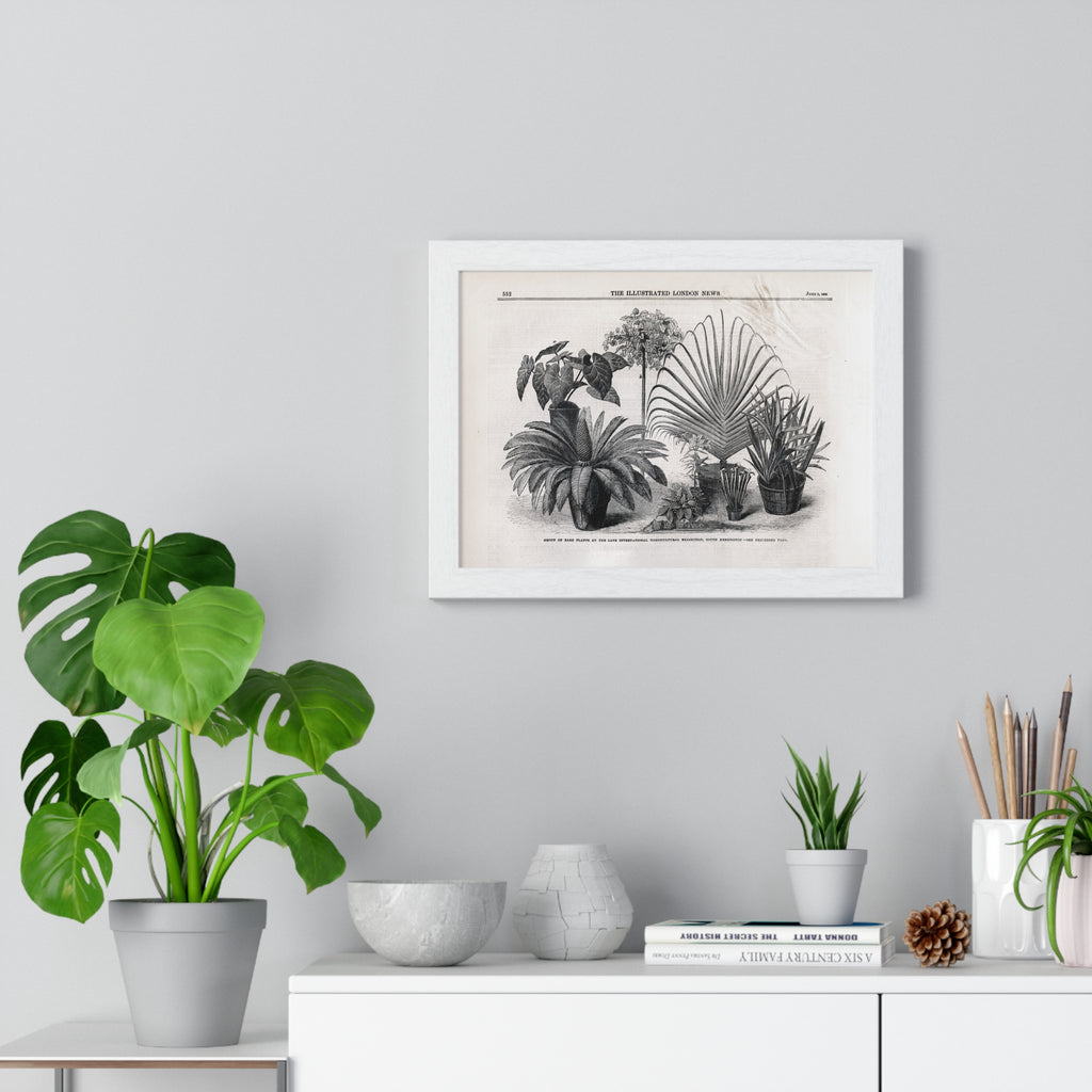 Vintage Botanical Print Framed Poster — Antique Plant Illustration
