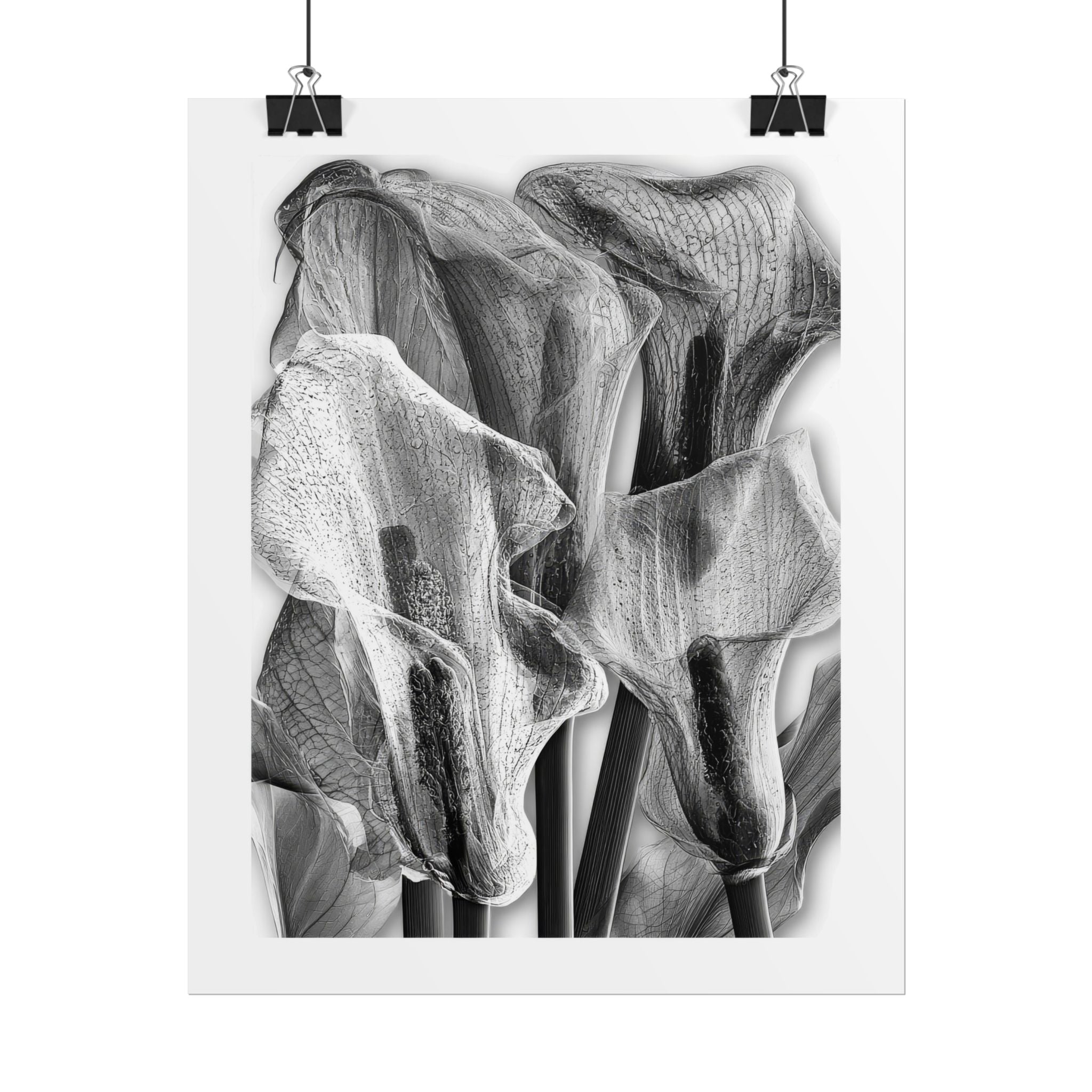 Black & White Calla Lily Poster — Minimal Floral Wall Art, Rolled Art Print for Living Room & Bedroom
