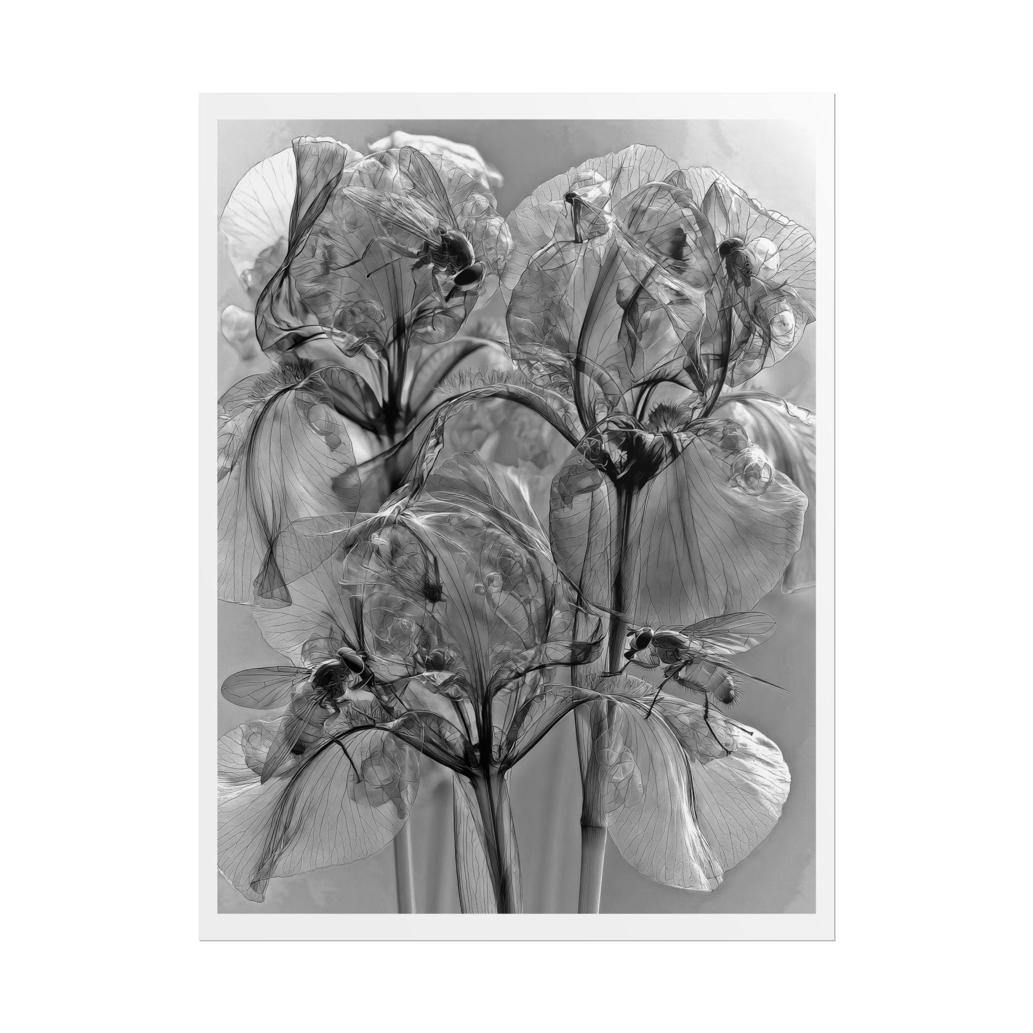 Rolled Poster — Monochrome X-Ray Floral Art Print