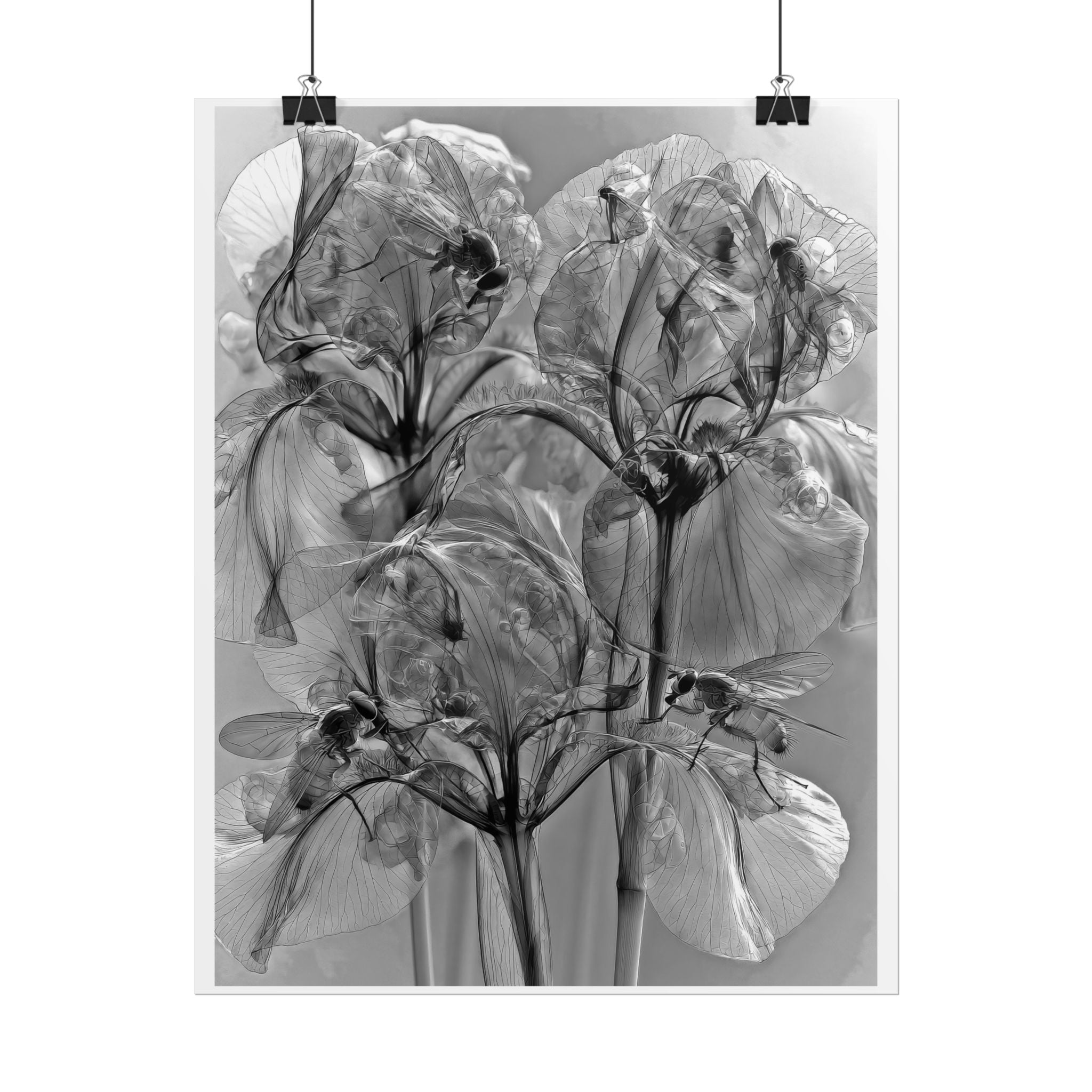 Rolled Poster — Monochrome X-Ray Floral Art Print