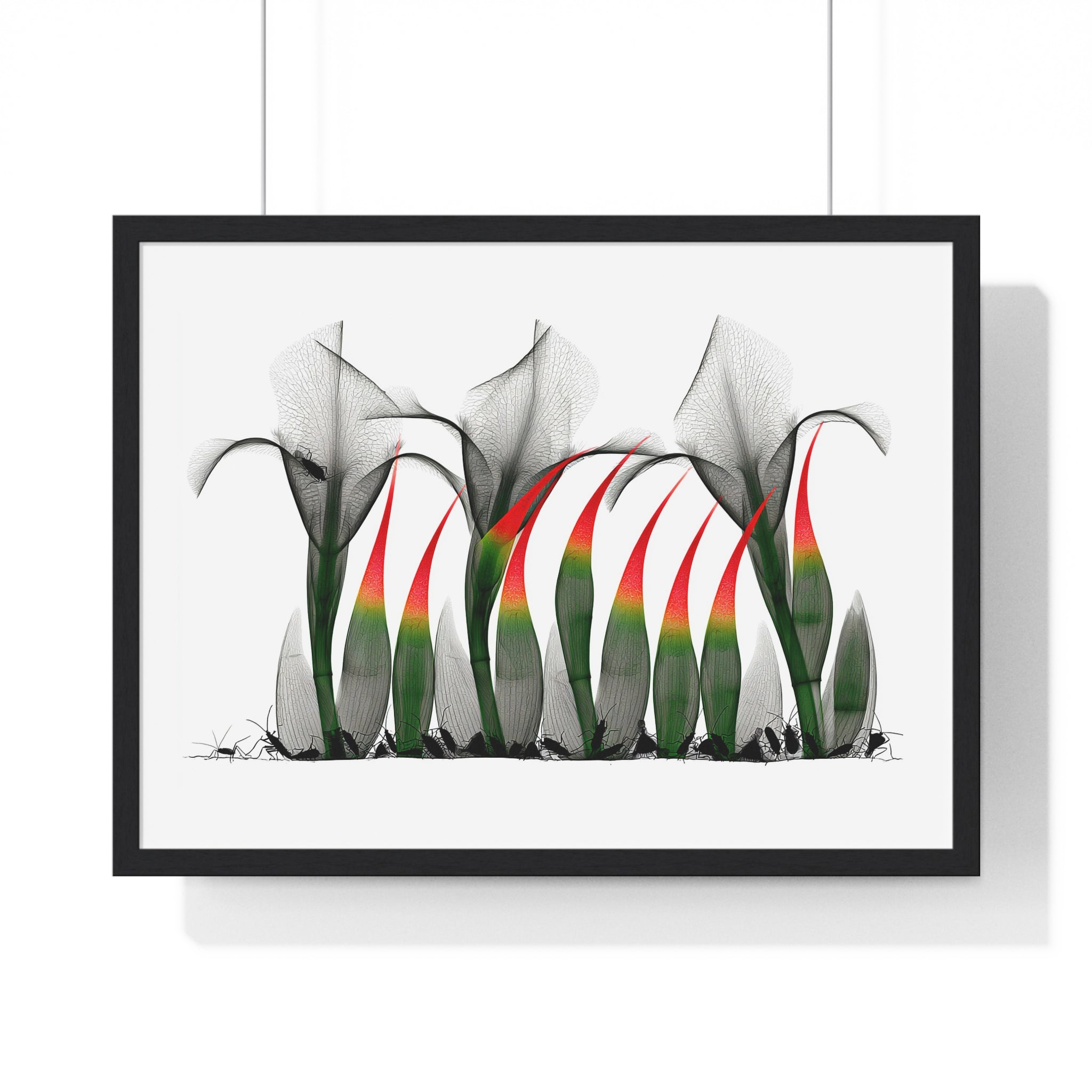 Framed Poster - Abstract Botanical Calla Lily Art with Red & Green Accents