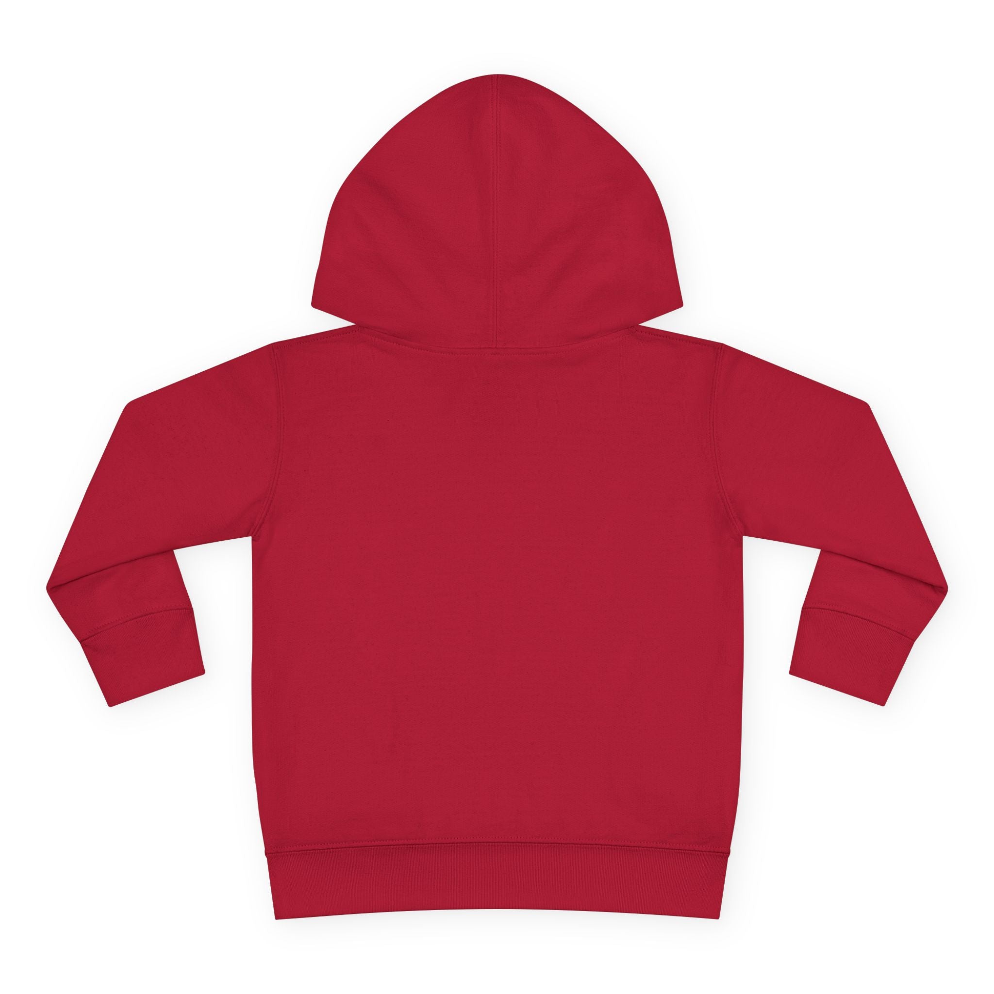 Toddler Hoodie — Cute Reading Monster Graphic Pullover