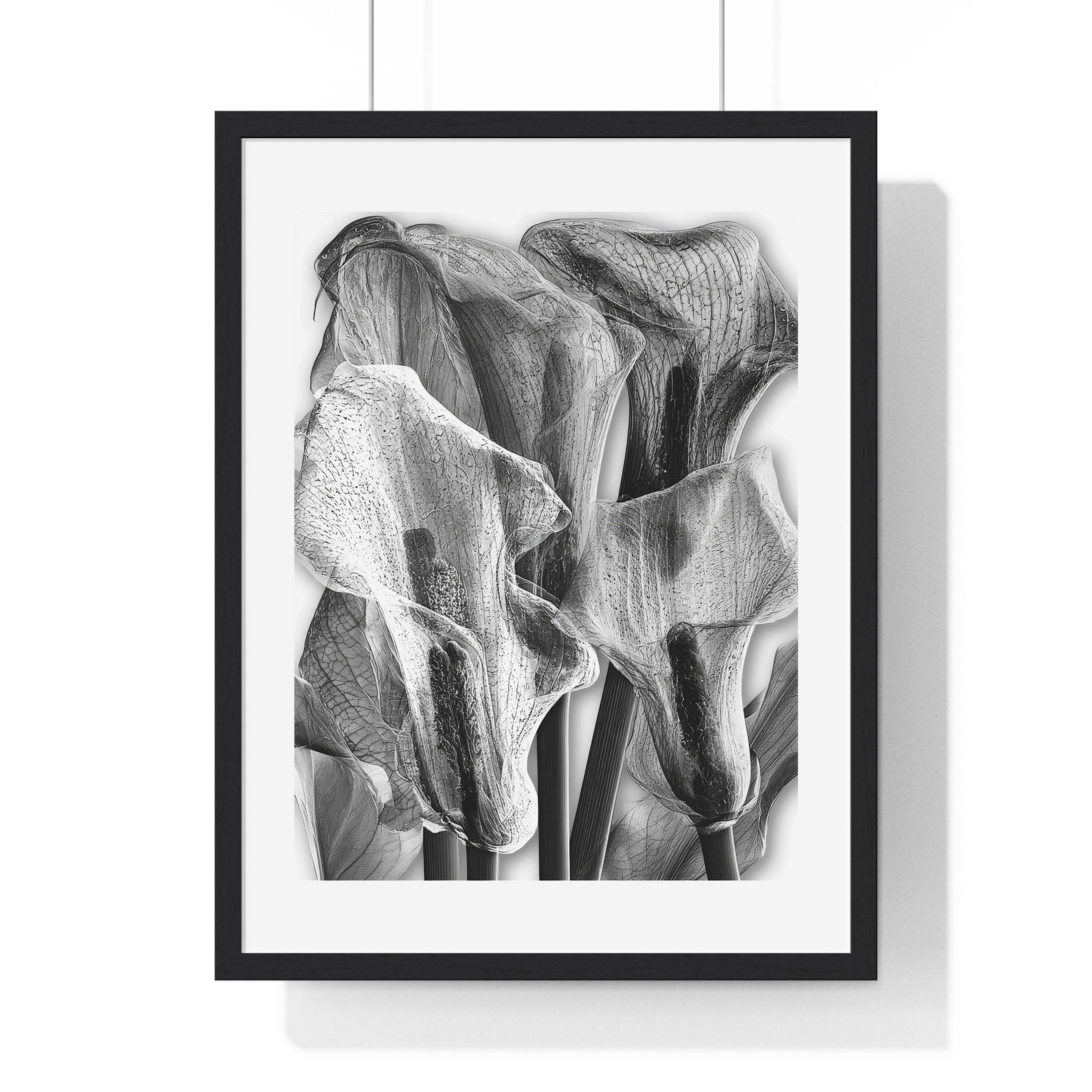 Black & White Calla Lily Framed Poster
