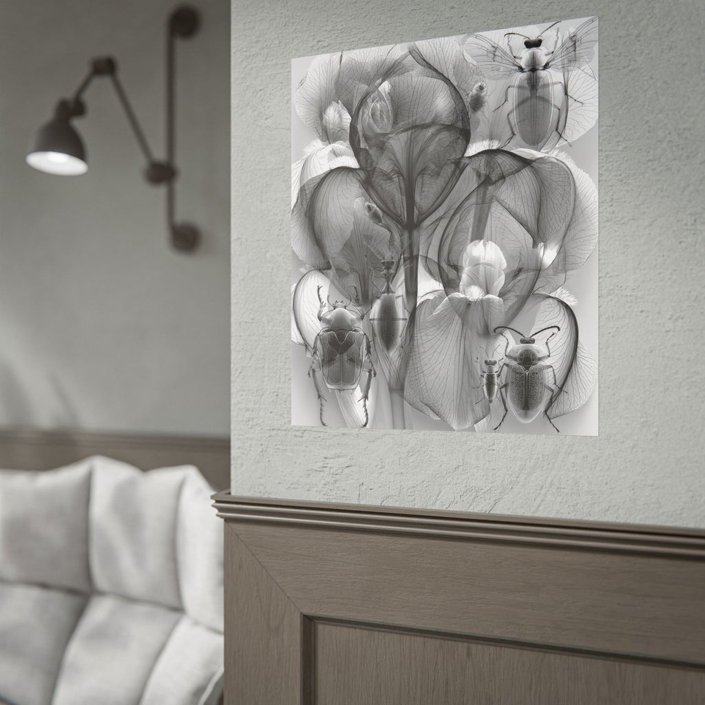 Orchid X-Ray Art Poster — Monochrome Floral Insect Wall Print