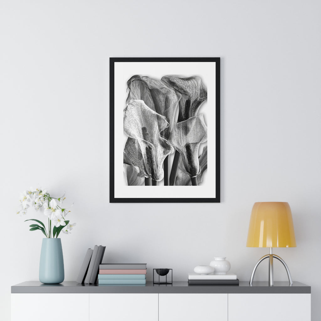 Black & White Calla Lily Framed Poster