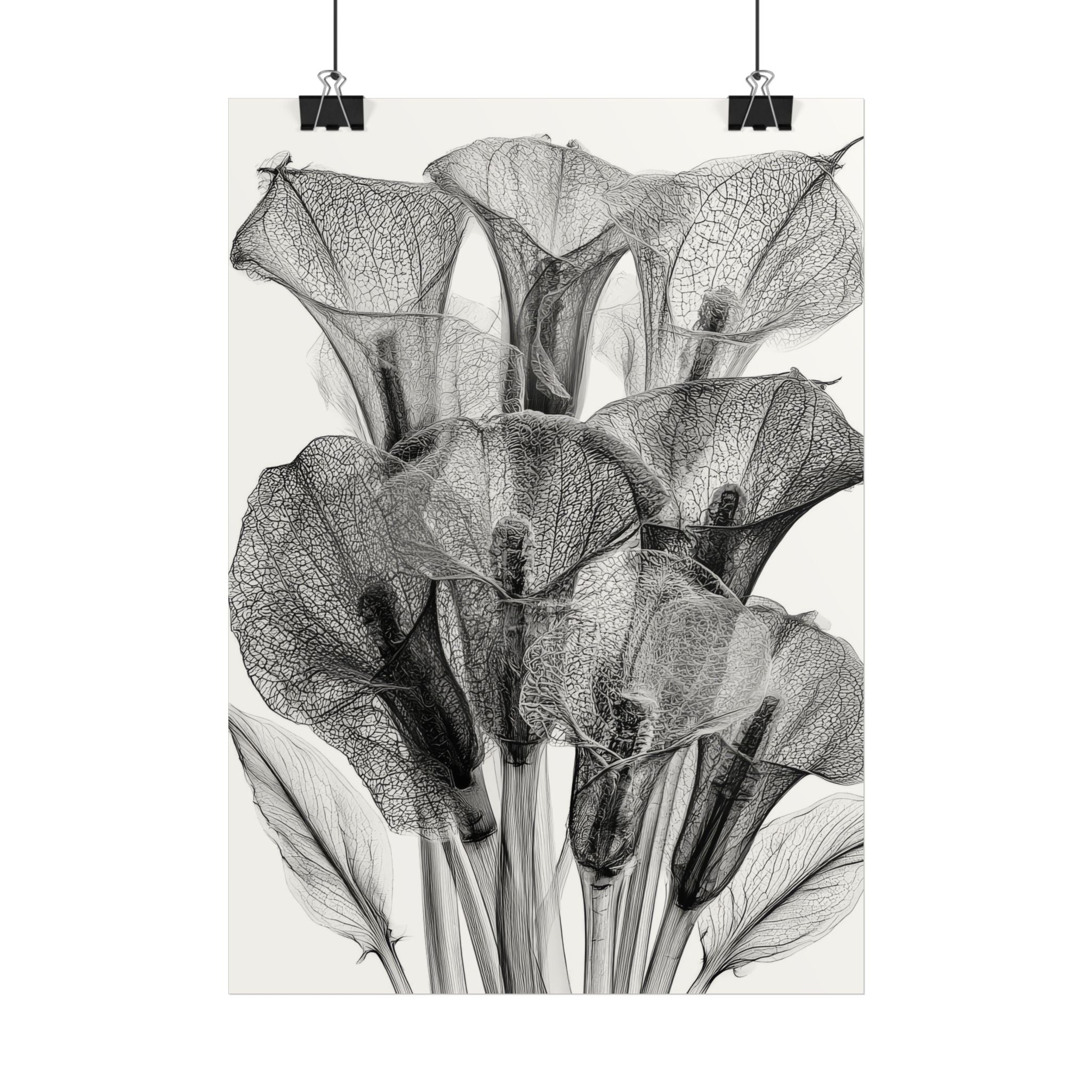 Calla Lily X-ray Poster — Minimalist Botanical Wall Art