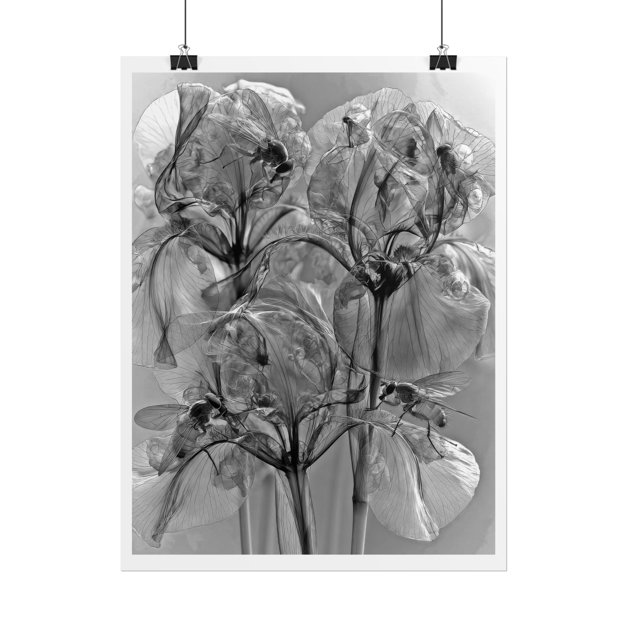 Rolled Poster — Monochrome X-Ray Floral Art Print