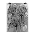 Rolled Poster — Monochrome X-Ray Floral Art Print