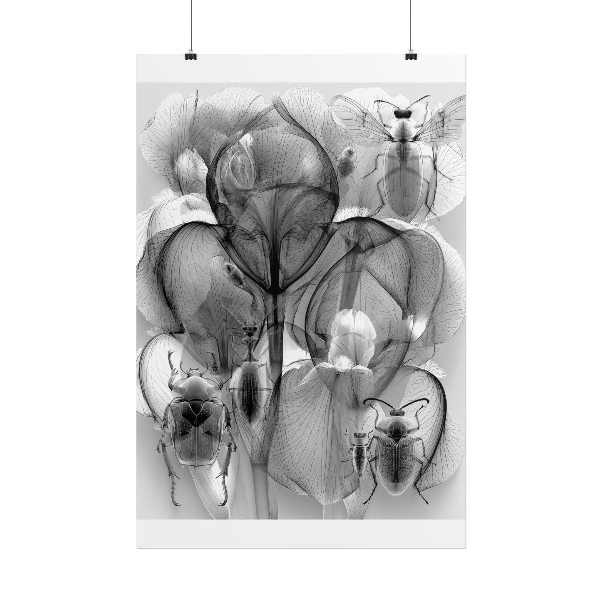 Orchid X-Ray Art Poster — Monochrome Floral Insect Wall Print