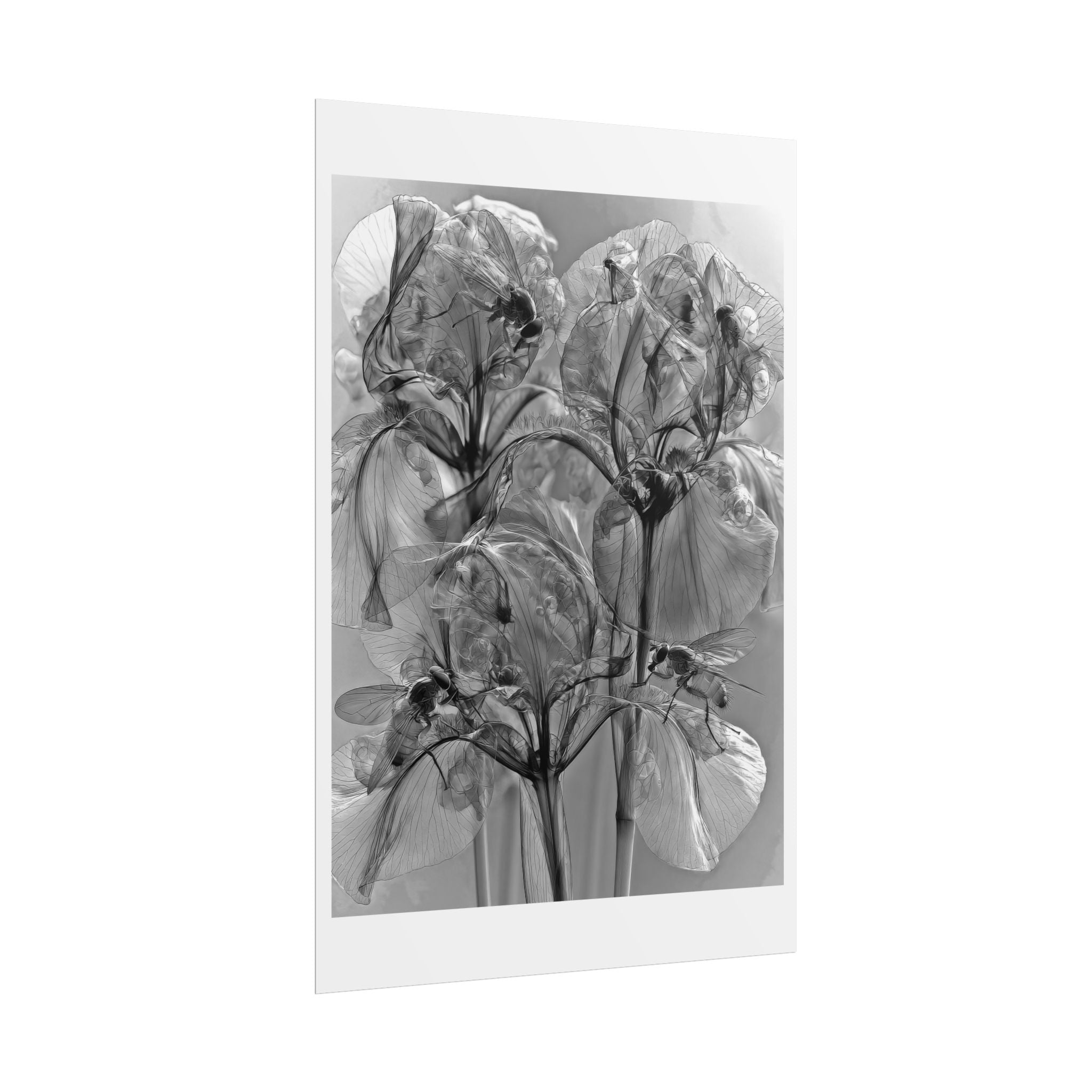 Rolled Poster — Monochrome X-Ray Floral Art Print