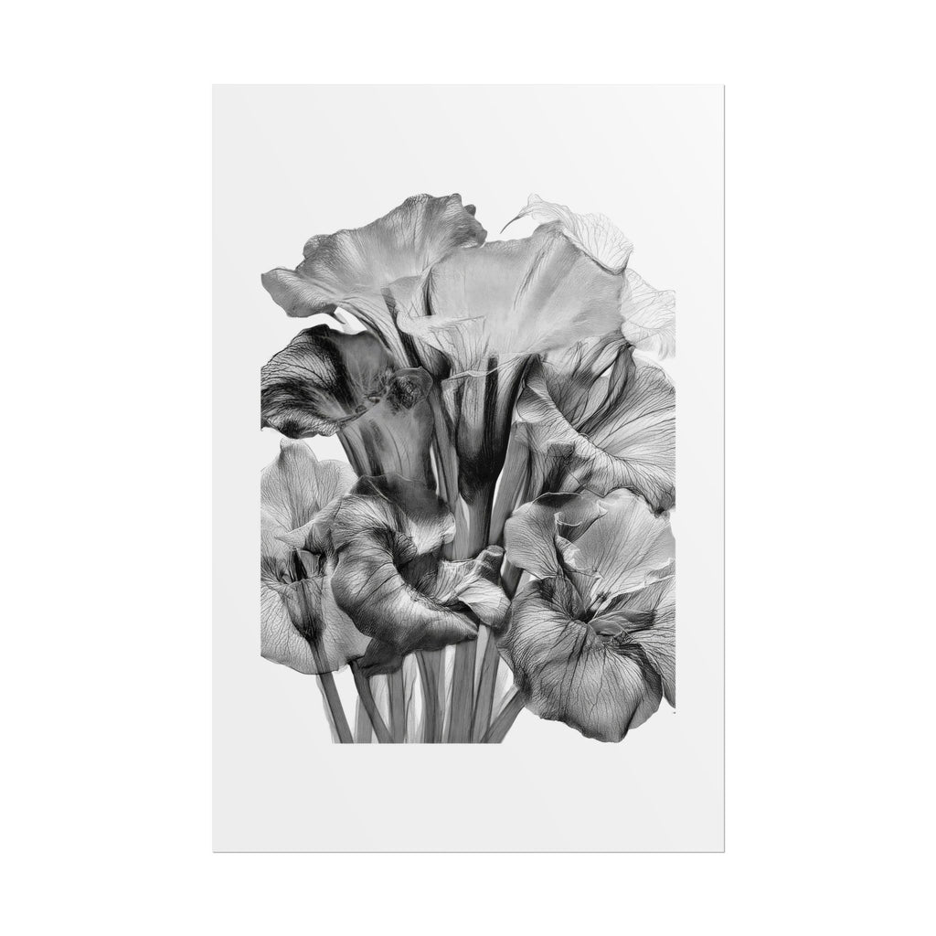 Black & White Iris Botanical Poster — Monochrome Floral Wall Art (Rolled Poster)