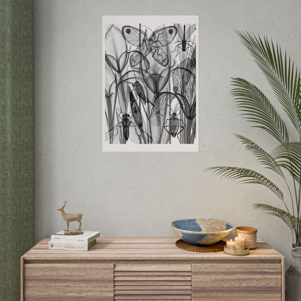 Monochrome Botanical Insects Rolled Poster — X-Ray Style Nature Art Print