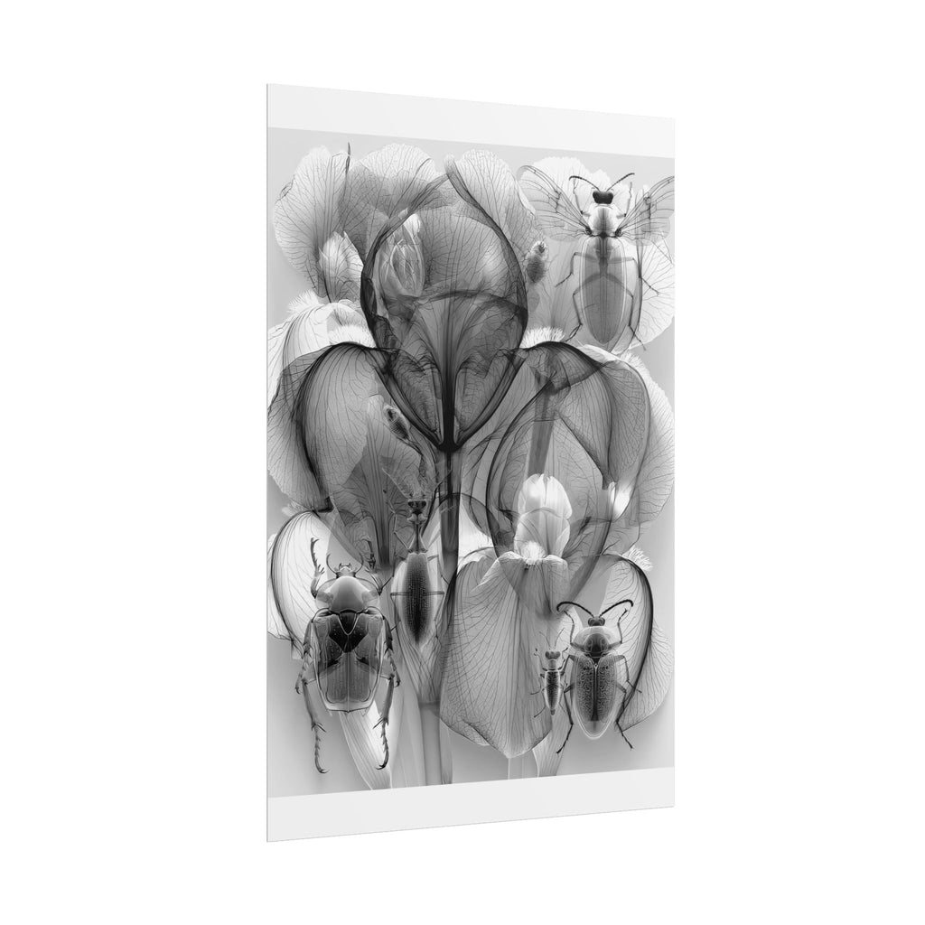 Orchid X-Ray Art Poster — Monochrome Floral Insect Wall Print