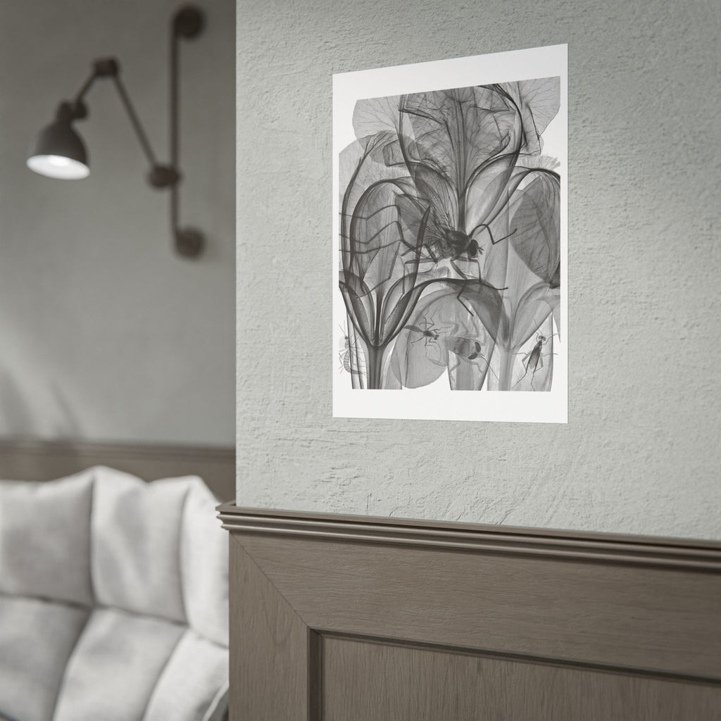 Botanical X-Ray Art Poster — Monochrome Floral Rolled Print
