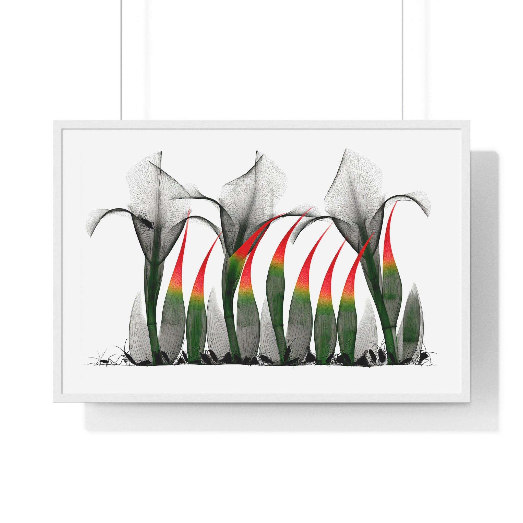 Framed Poster - Abstract Botanical Calla Lily Art with Red & Green Accents