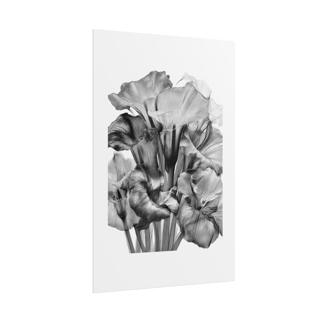 Black & White Iris Botanical Poster — Monochrome Floral Wall Art (Rolled Poster)