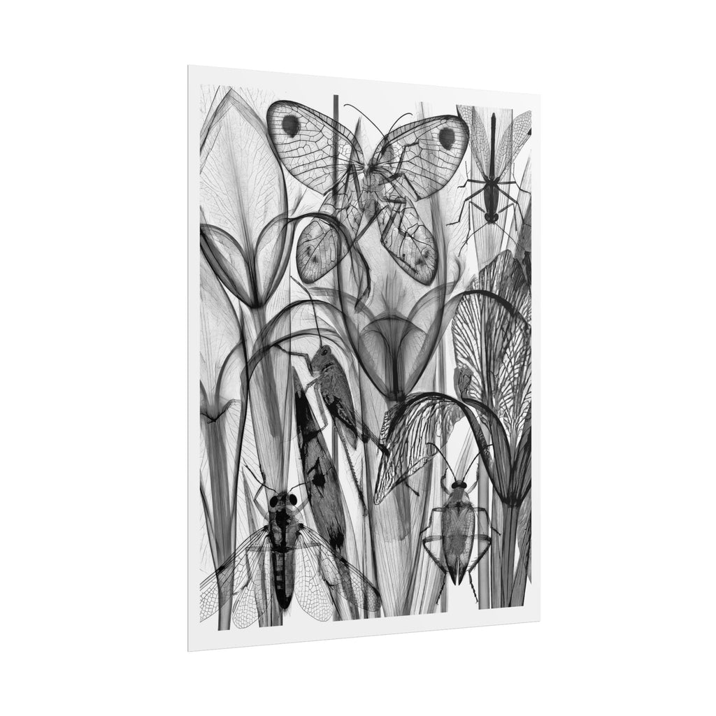 Botanical Insect X‑Ray Rolled Poster — Monochrome Moths & Beetles Art Print