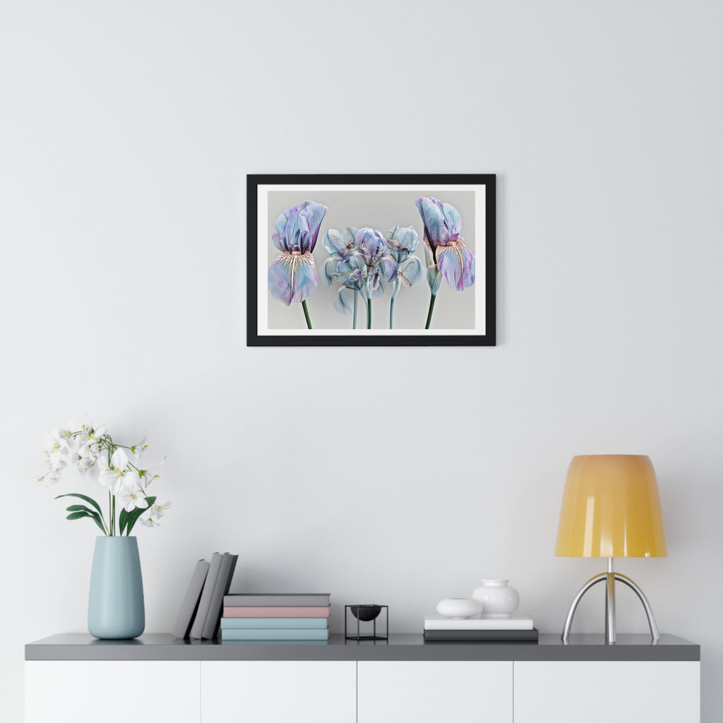 Iridescent Iris Floral Framed Poster — Horizontal Wall Art Print