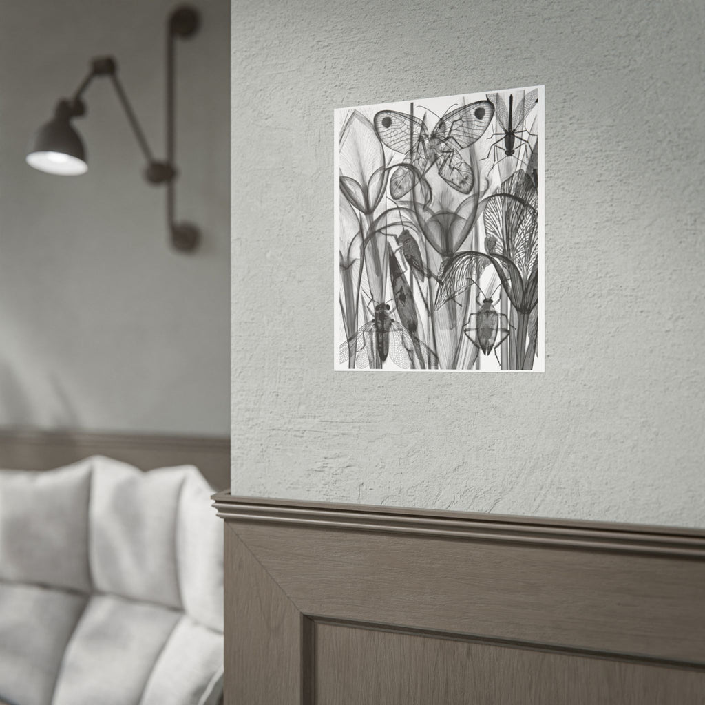 Monochrome Botanical Insects Rolled Poster — X-Ray Style Nature Art Print