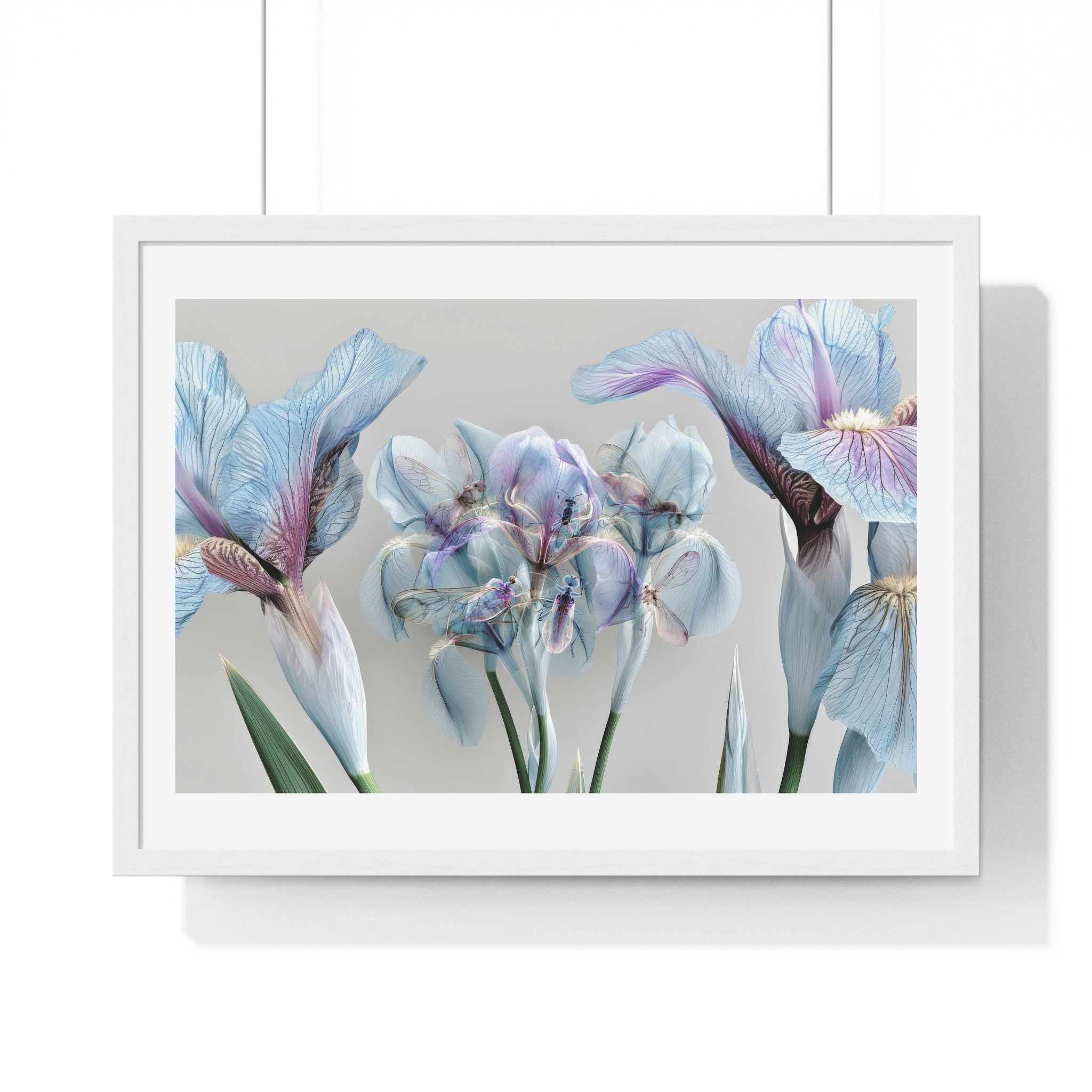 Botanical Iris Framed Poster — Soft Blue Floral Wall Art (Horizontal)