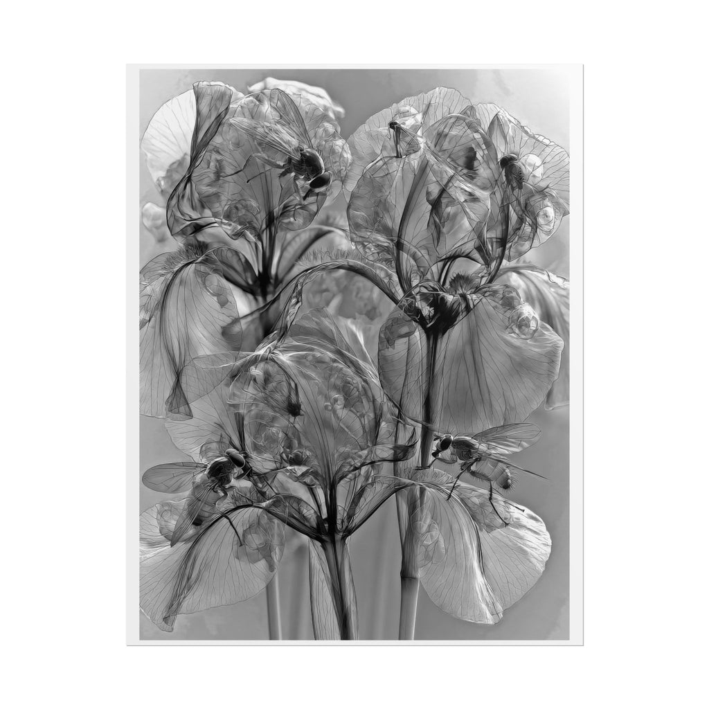 Rolled Poster — Monochrome X-Ray Floral Art Print