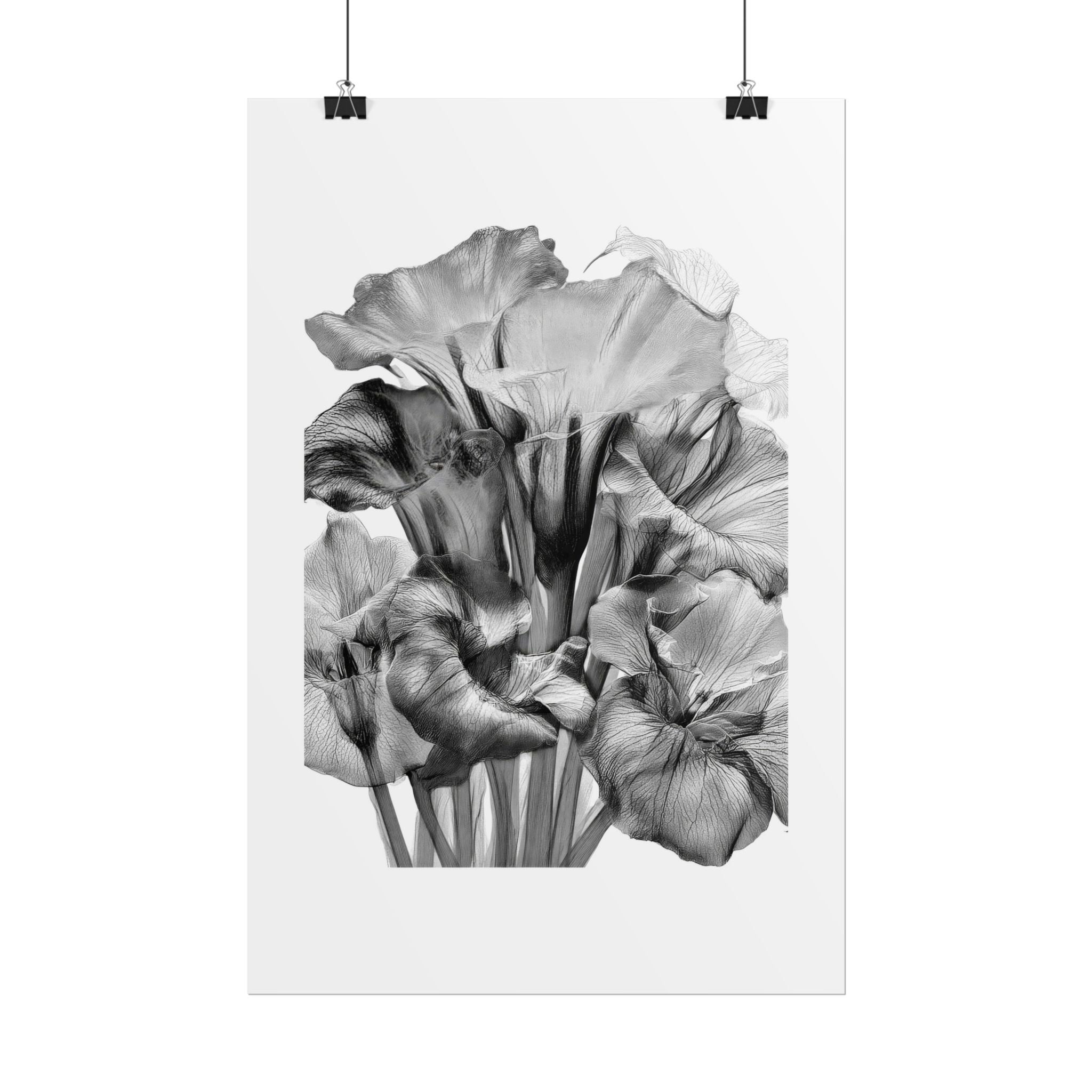 Black & White Iris Botanical Poster — Monochrome Floral Wall Art (Rolled Poster)
