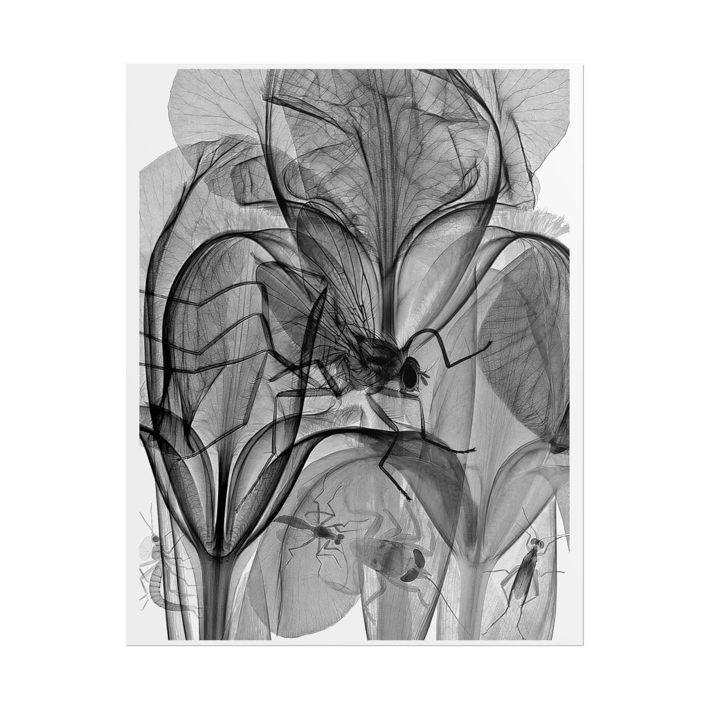 Botanical X-Ray Art Poster — Monochrome Floral Rolled Print