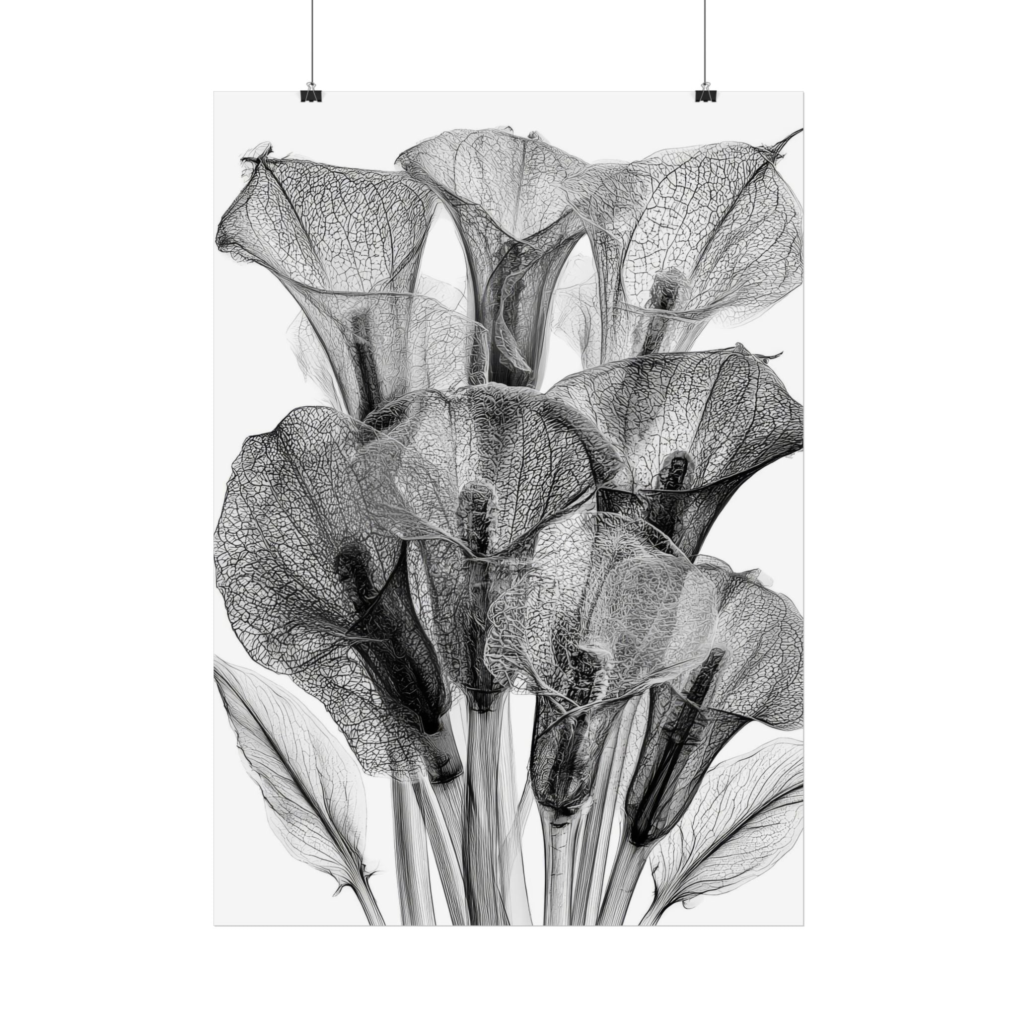 Calla Lily X-ray Poster — Minimalist Botanical Wall Art