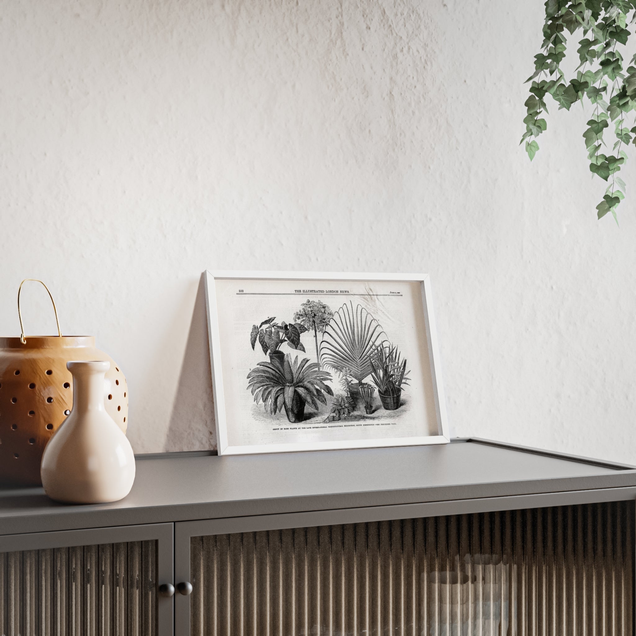 Group of Rare Plants at the International Horticultural Exhibition. Vintage Botanical Print Poster with Wooden Frame — Black & White Plant Illustration