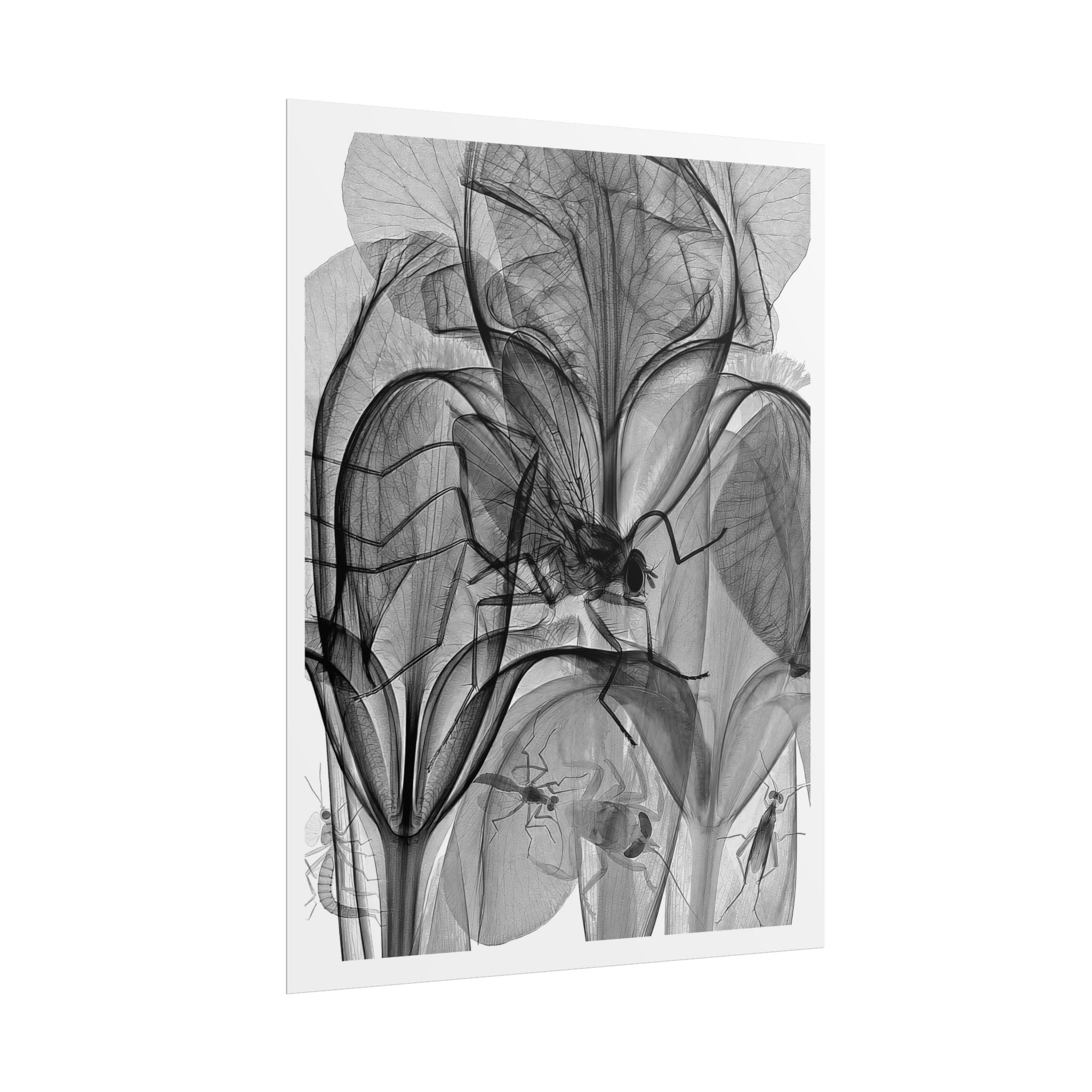 Botanical X-Ray Art Poster — Monochrome Floral Rolled Print