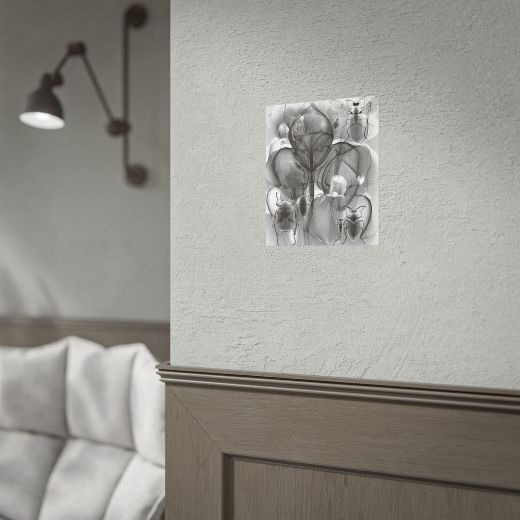Orchid X-Ray Art Poster — Monochrome Floral Insect Wall Print