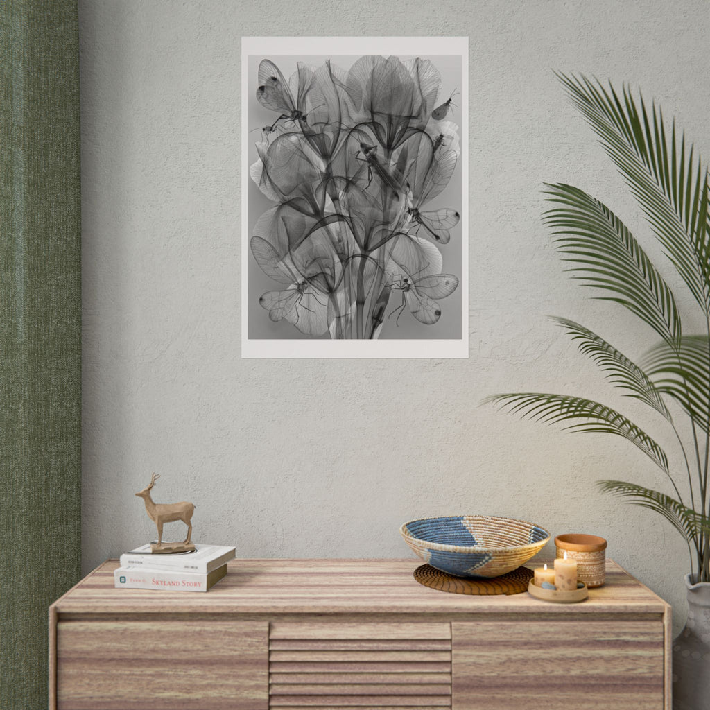 Botanical X-Ray Poster — Monochrome Floral Wall Art, Rolled Art Print
