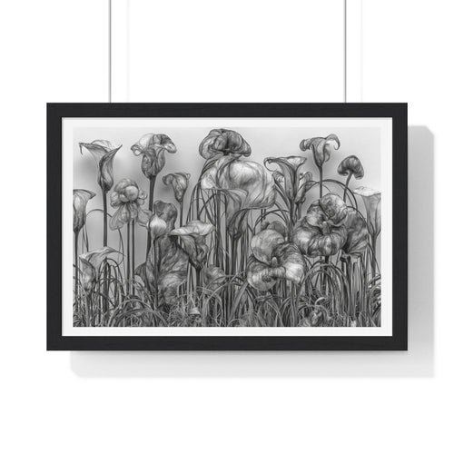 Black & White Botanical Framed Poster — Monochrome Calla Lily Wall Art (Horizontal)
