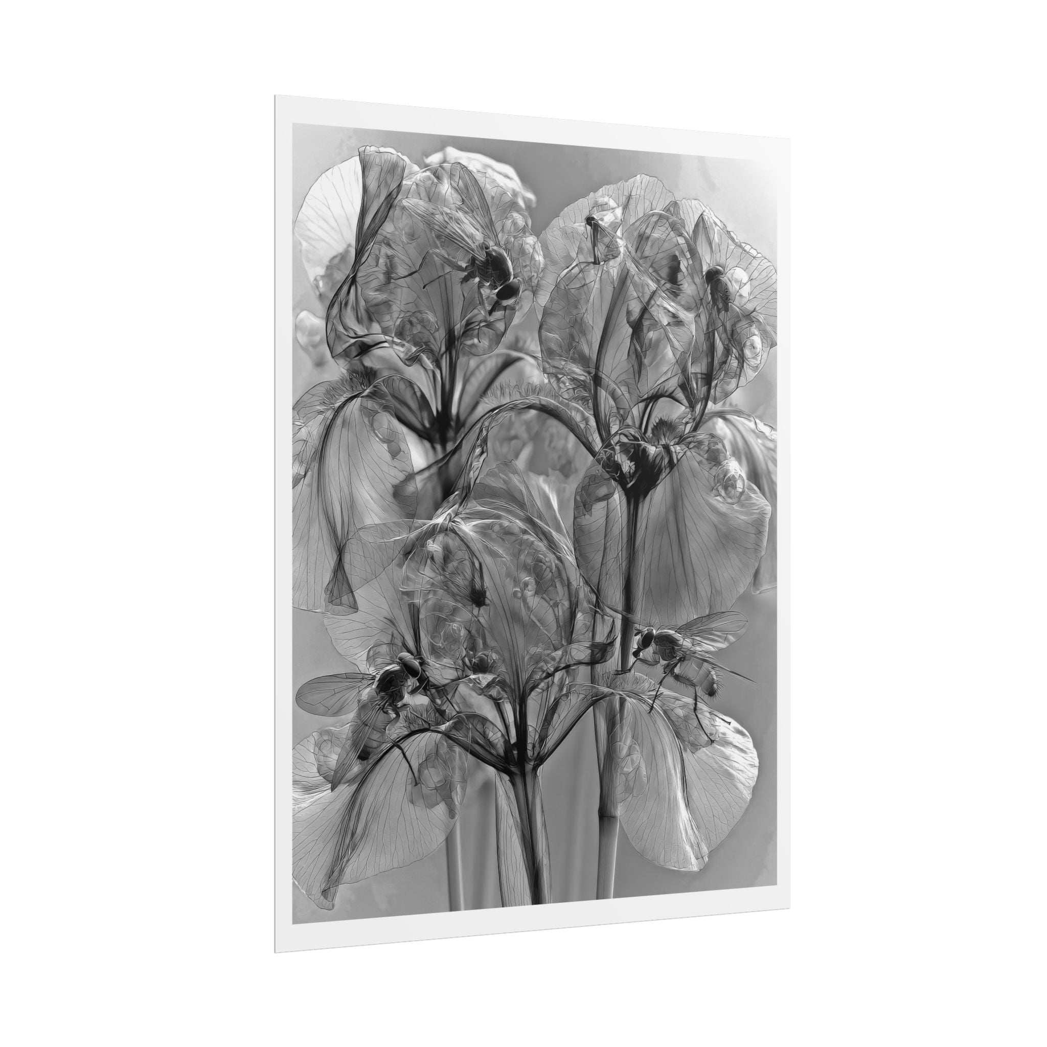 Rolled Poster — Monochrome X-Ray Floral Art Print