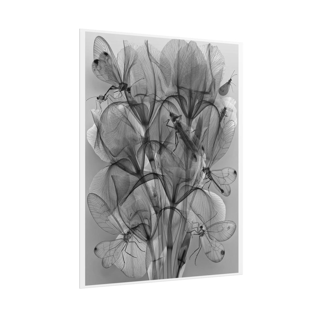 Botanical X-Ray Poster — Monochrome Floral Wall Art, Rolled Art Print