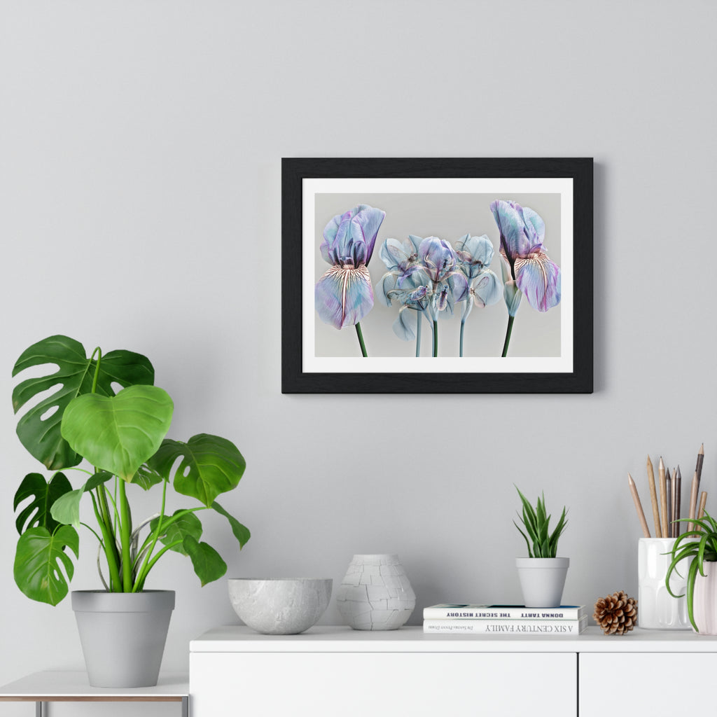 Iridescent Iris Floral Framed Poster — Horizontal Wall Art Print