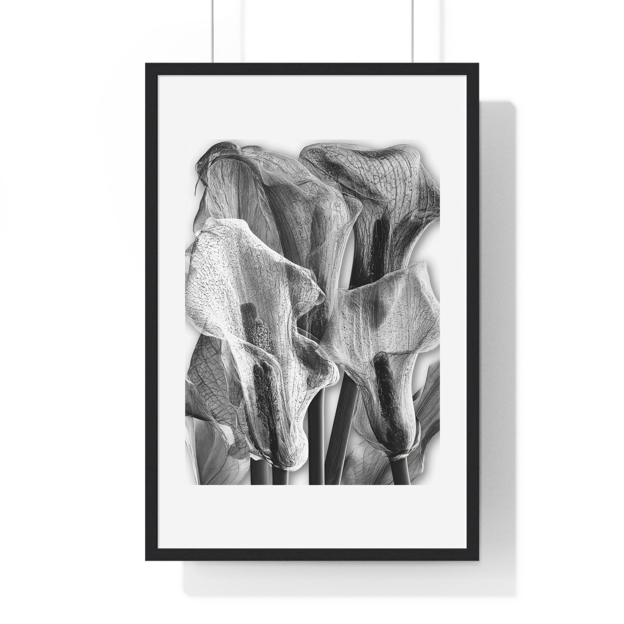 Black & White Calla Lily Framed Poster