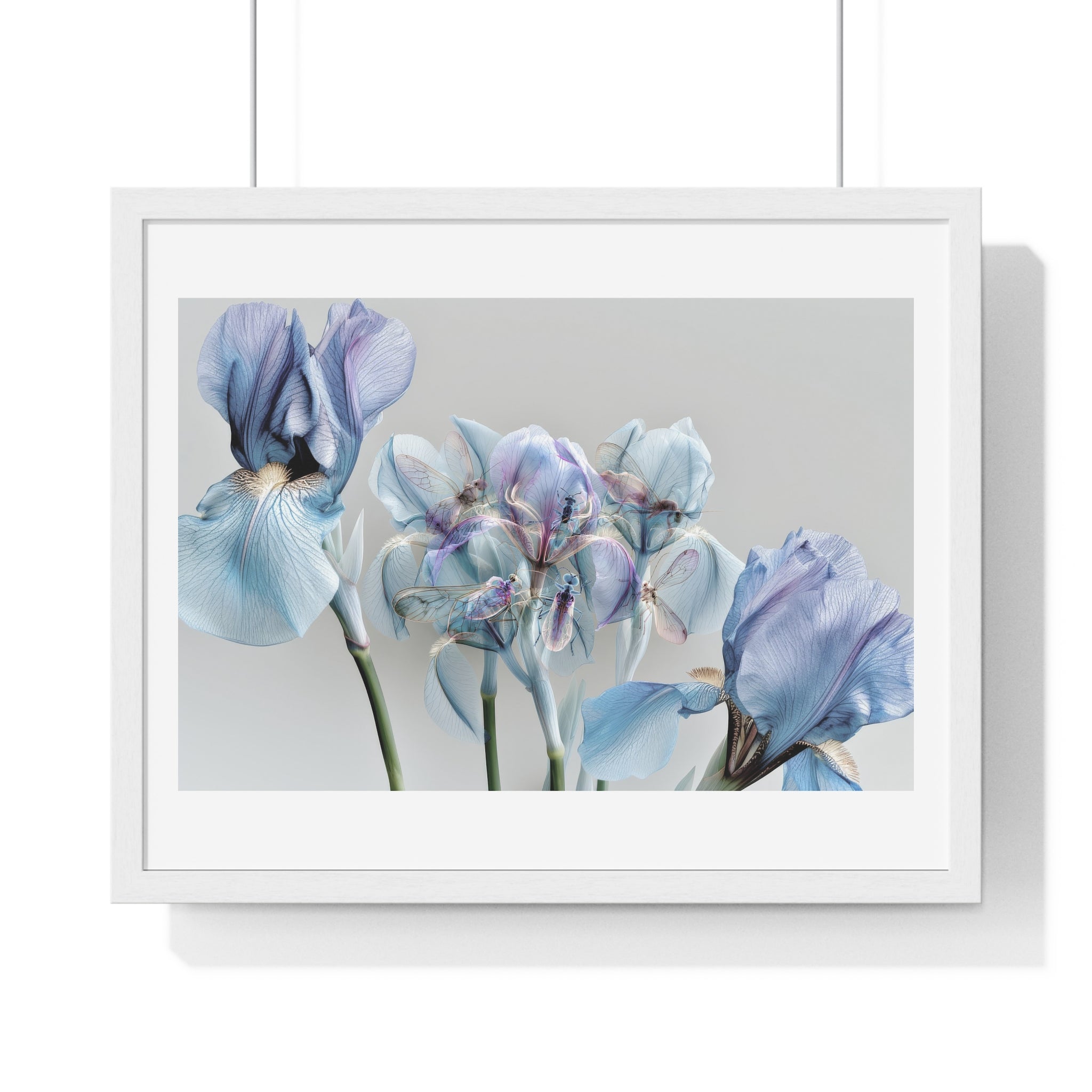 Blue Iris Floral Framed Poster — Botanical Wall Art Print