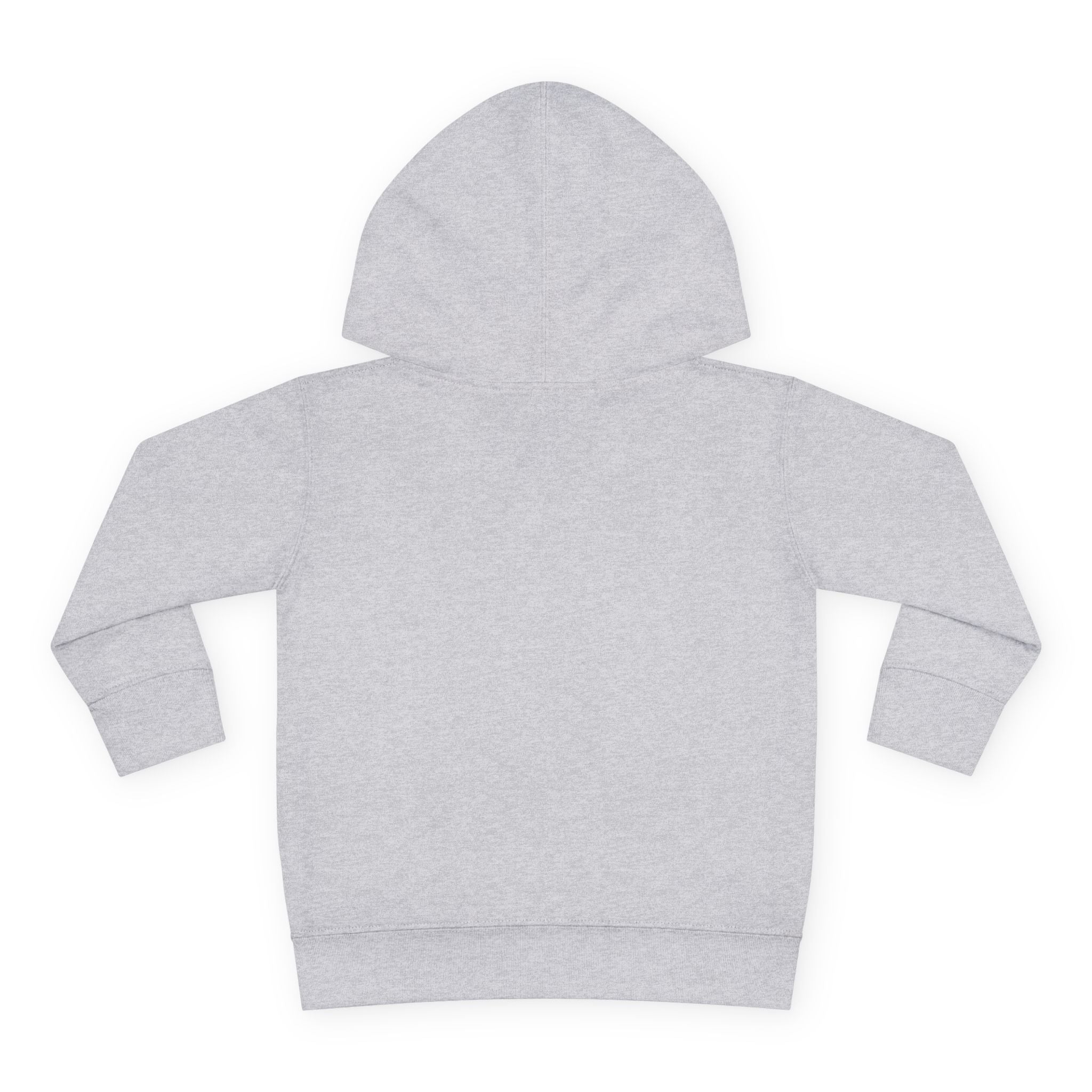 Toddler Hoodie — Cute Reading Monster Graphic Pullover