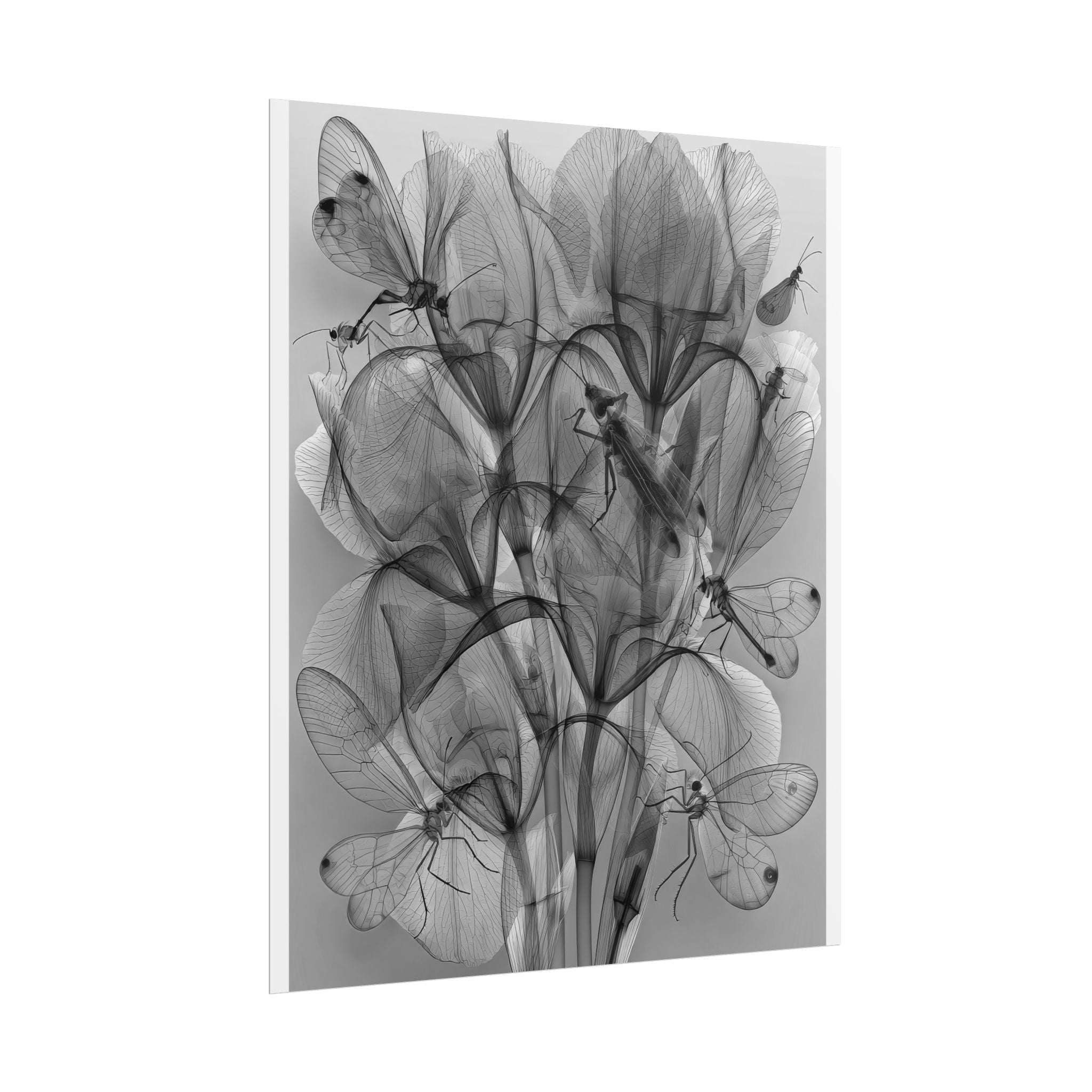 Botanical X-Ray Poster — Monochrome Floral Wall Art, Rolled Art Print