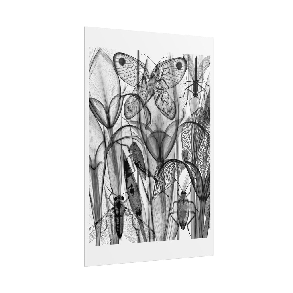Monochrome Botanical Insects Rolled Poster — X-Ray Style Nature Art Print