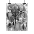 Orchid X-Ray Art Poster — Monochrome Floral Insect Wall Print