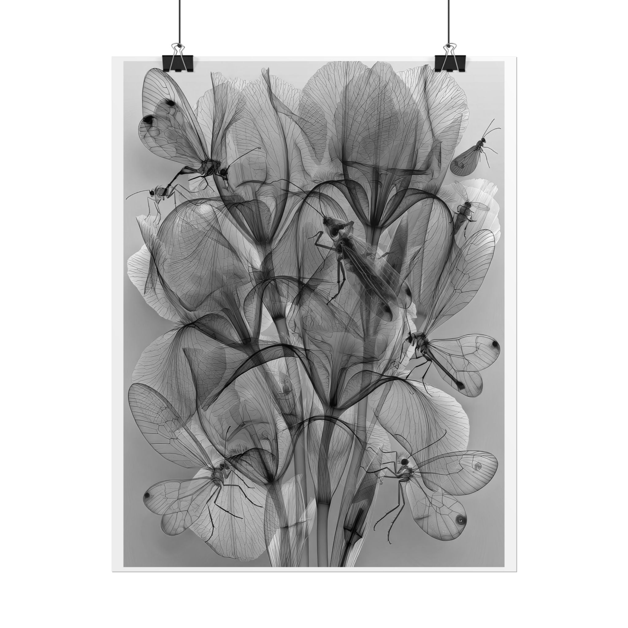 Botanical X-Ray Poster — Monochrome Floral Wall Art, Rolled Art Print