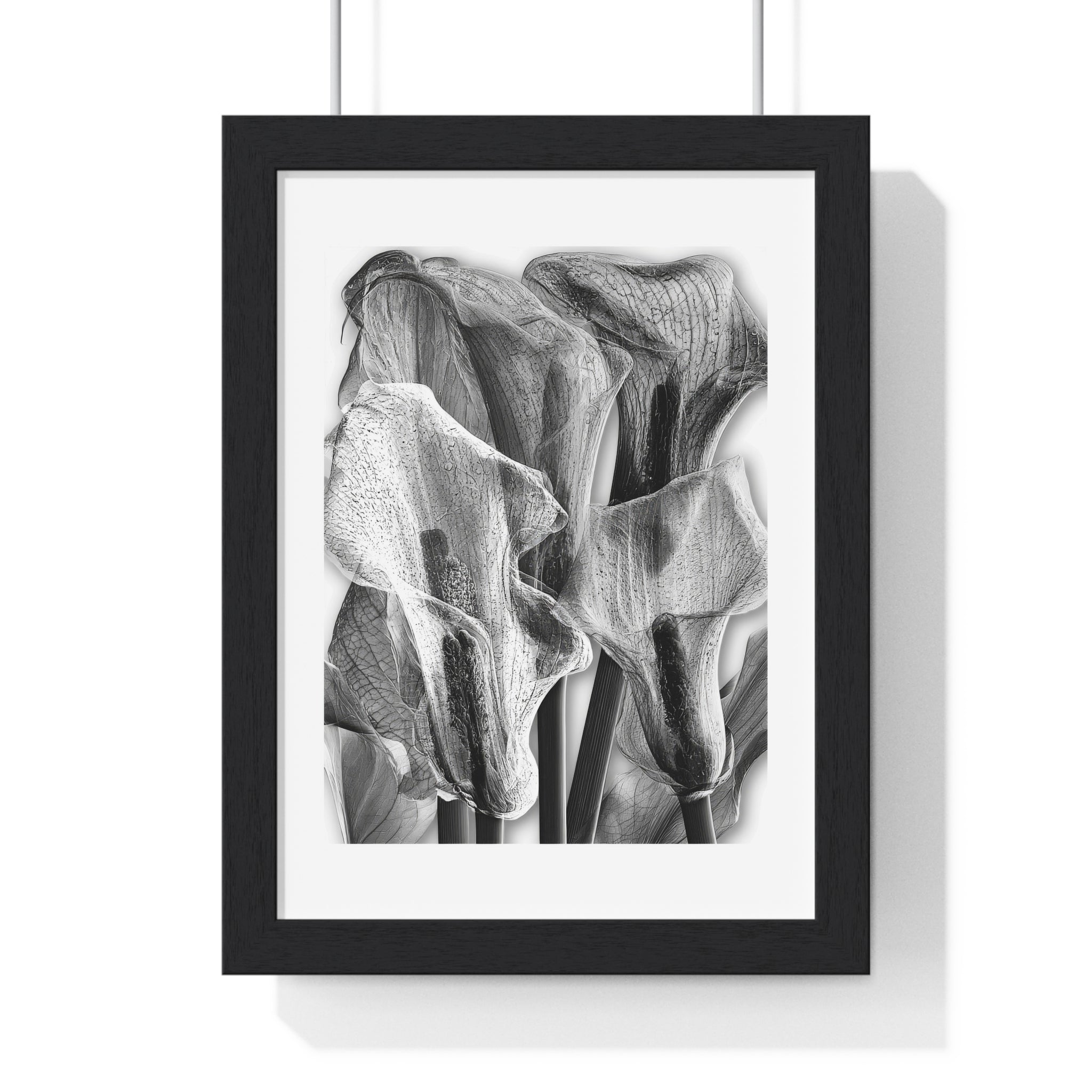 Black & White Calla Lily Framed Poster