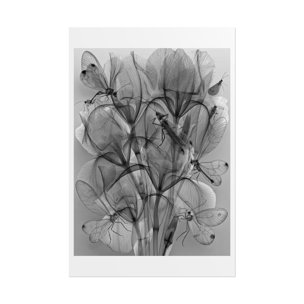 Botanical X-Ray Poster — Monochrome Floral Wall Art, Rolled Art Print