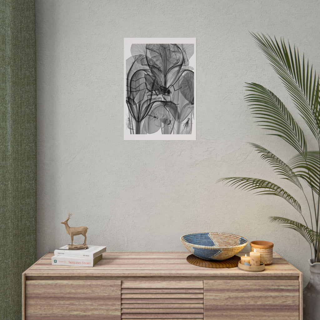 Botanical X-Ray Art Poster — Monochrome Floral Rolled Print